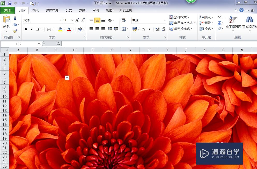格式是文档需求的哪一类_格式是文件怎么打开_webp是什么格式