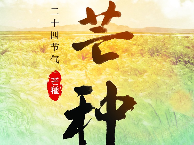 节气小满的由来_节气小满的图片_小满节气