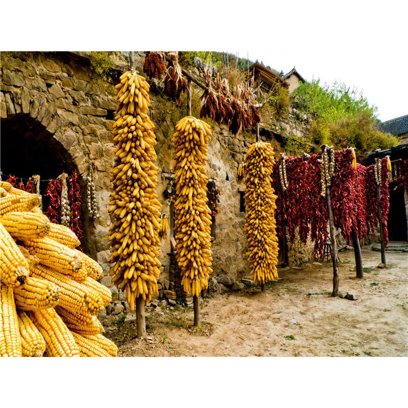 怎么看自己关注主播多久了-探秘热门主播:如何从一次直播走进我的生活(图2) 关注页面看直播主播会知道吗_怎么看自己关注主播多久了_主播关注你