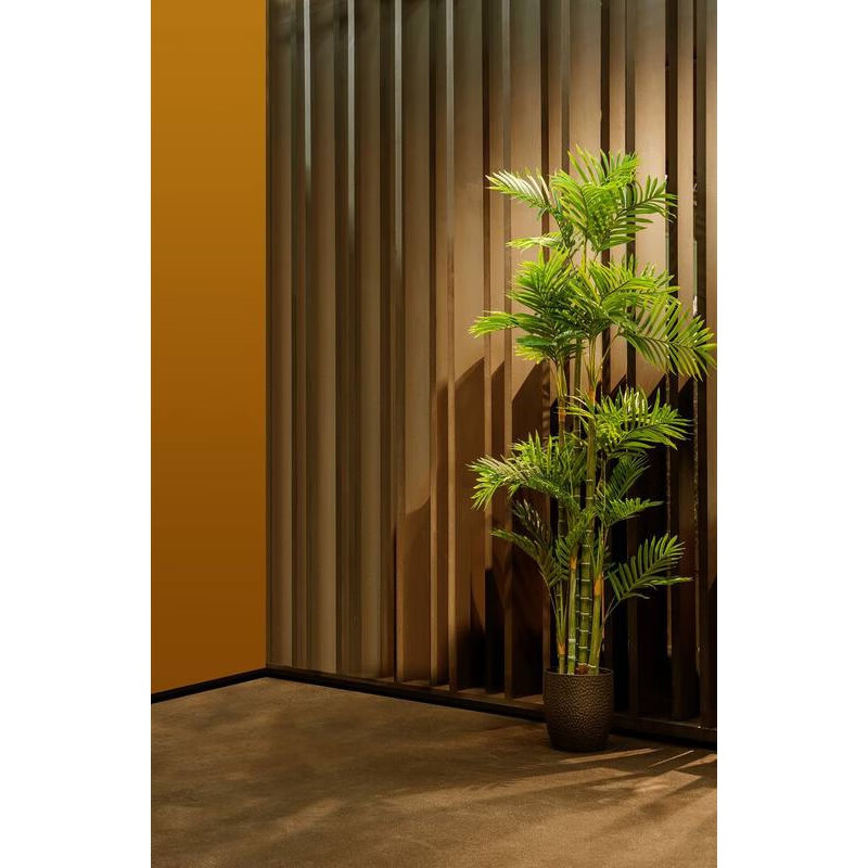 怎么看自己关注主播多久了-探秘热门主播:如何从一次直播走进我的生活(图3) 主播关注你_怎么看自己关注主播多久了_关注页面看直播主播会知道吗