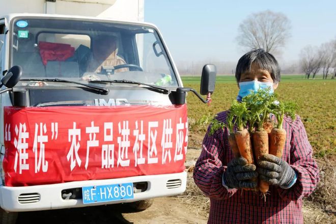 蔬菜大丰收游戏下载手机版_丰收蔬菜图片_蔬菜大丰收玩法