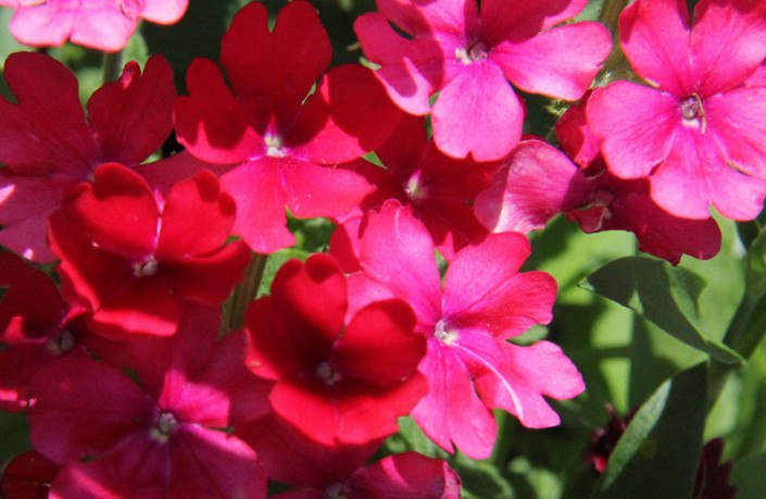 用铁丝做的生存游戏手机版-铁丝打造野外生存奇迹!一线游戏开发者亲授荒岛生存秘籍(图1) 手机psp生存类游戏_用铁丝做龙头骨架_用铁丝做的生存游戏手机版