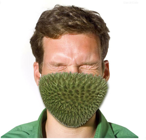 用铁丝做的生存游戏手机版-铁丝打造野外生存奇迹!一线游戏开发者亲授荒岛生存秘籍(图2) 手机psp生存类游戏_用铁丝做的生存游戏手机版_用铁丝做龙头骨架