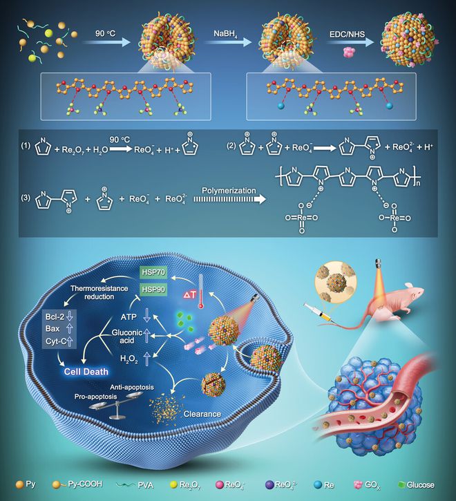 主机直播手机游戏怎么开_主机游戏手机直播_直播主机游戏