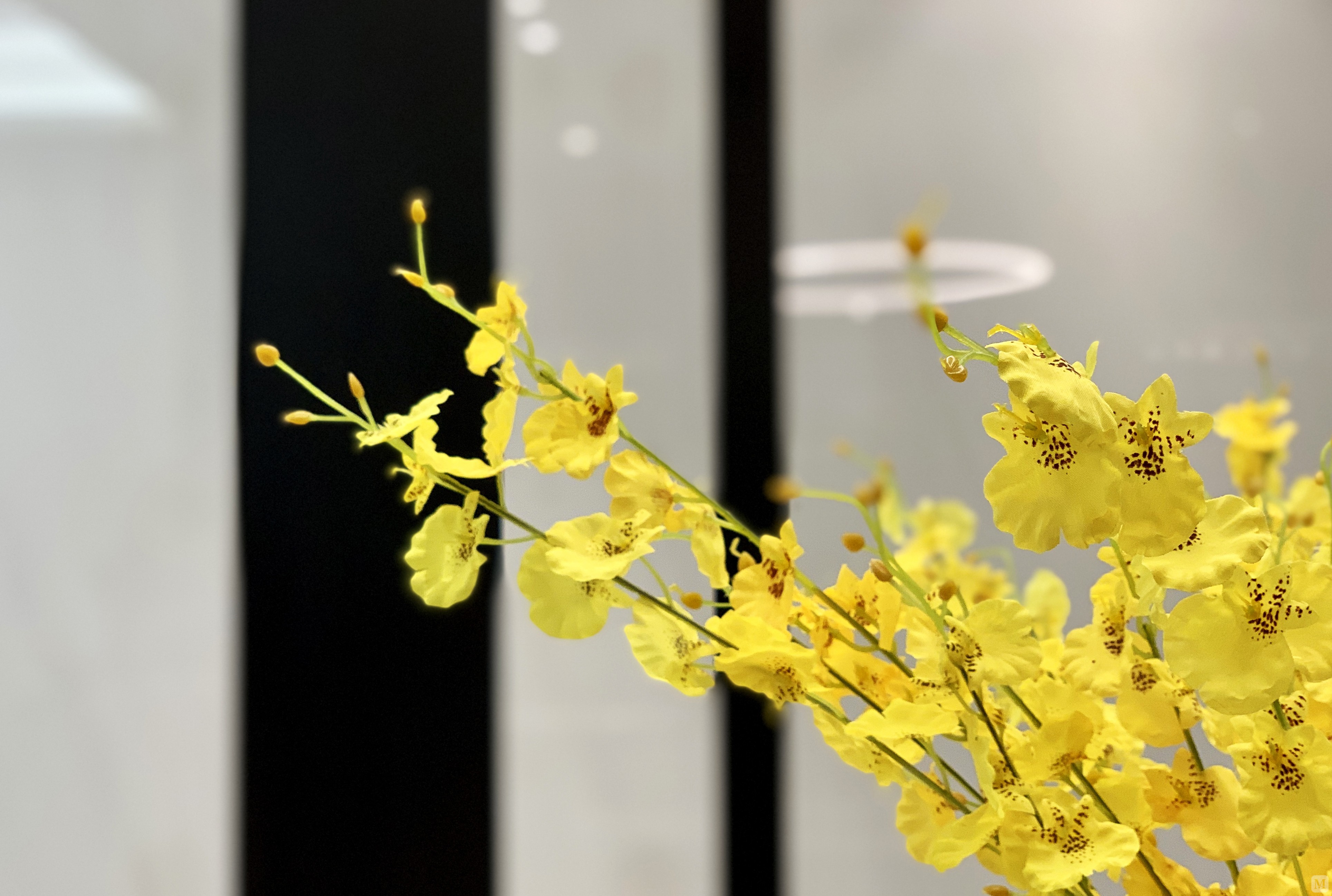 清楚系-揭秘清爽穿搭法!简约大方不失品位,教你享受生活的清新脱俗(图2) 清楚系双子_清楚系_清楚系是清纯系吗