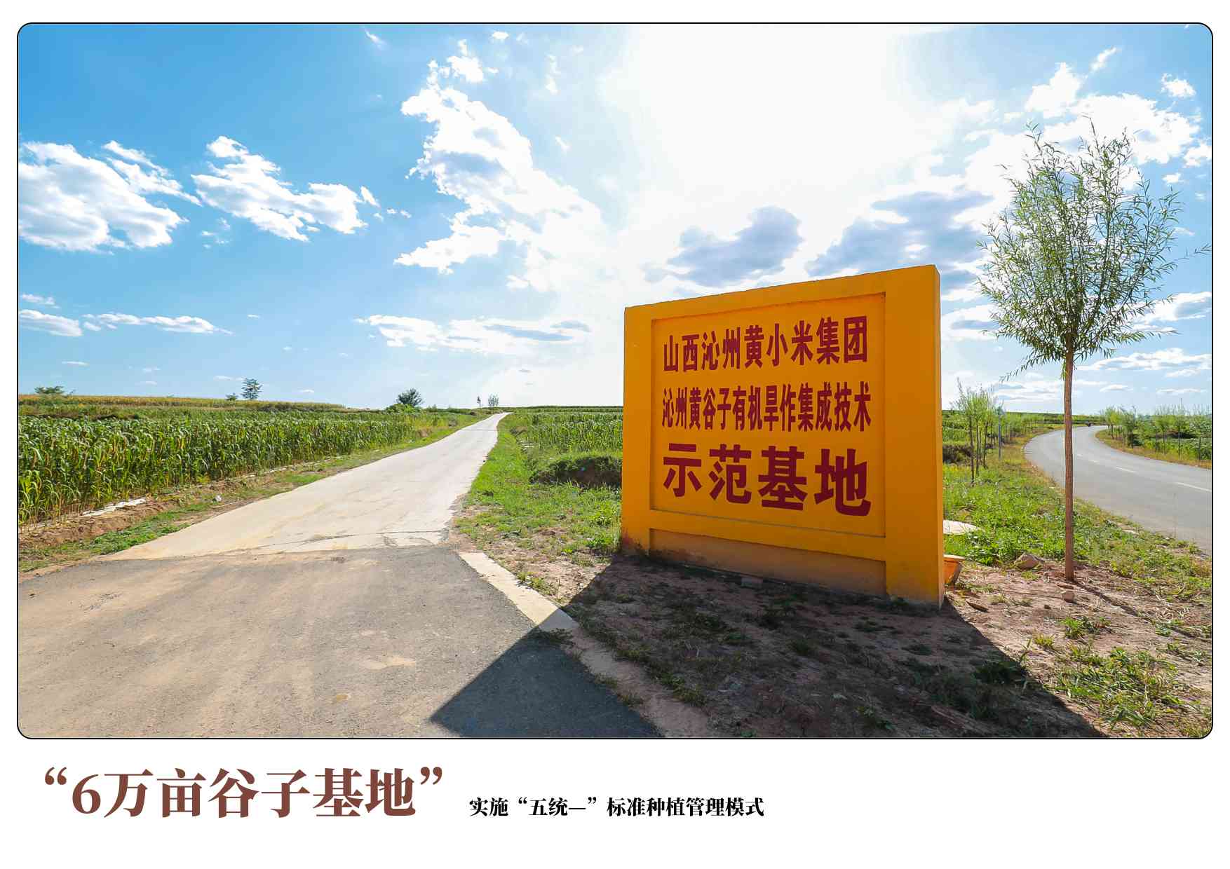 小米密码修改手机游戏还能玩吗_小米密码修改手机游戏怎么弄_小米手机修改游戏密码