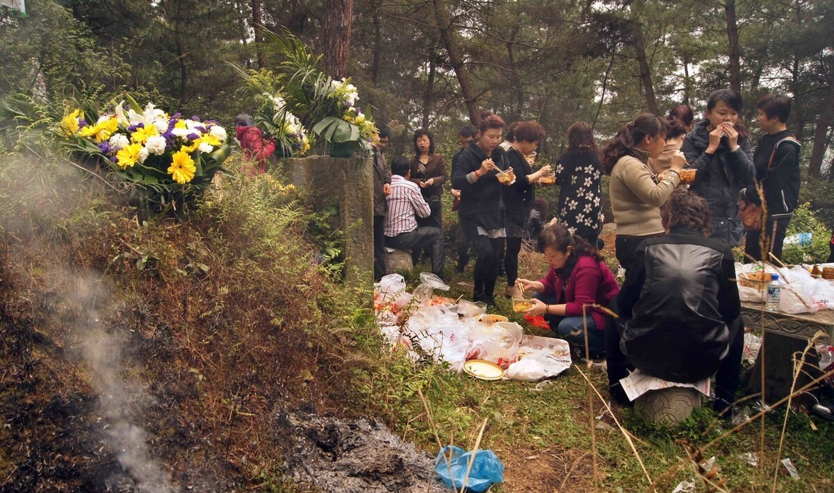 清明简介-清明节:祭祖扫墓,踏青郊游,感受生机勃勃的大自然(图3) 清明上河图简介_清明简介_航天员邓清明简介