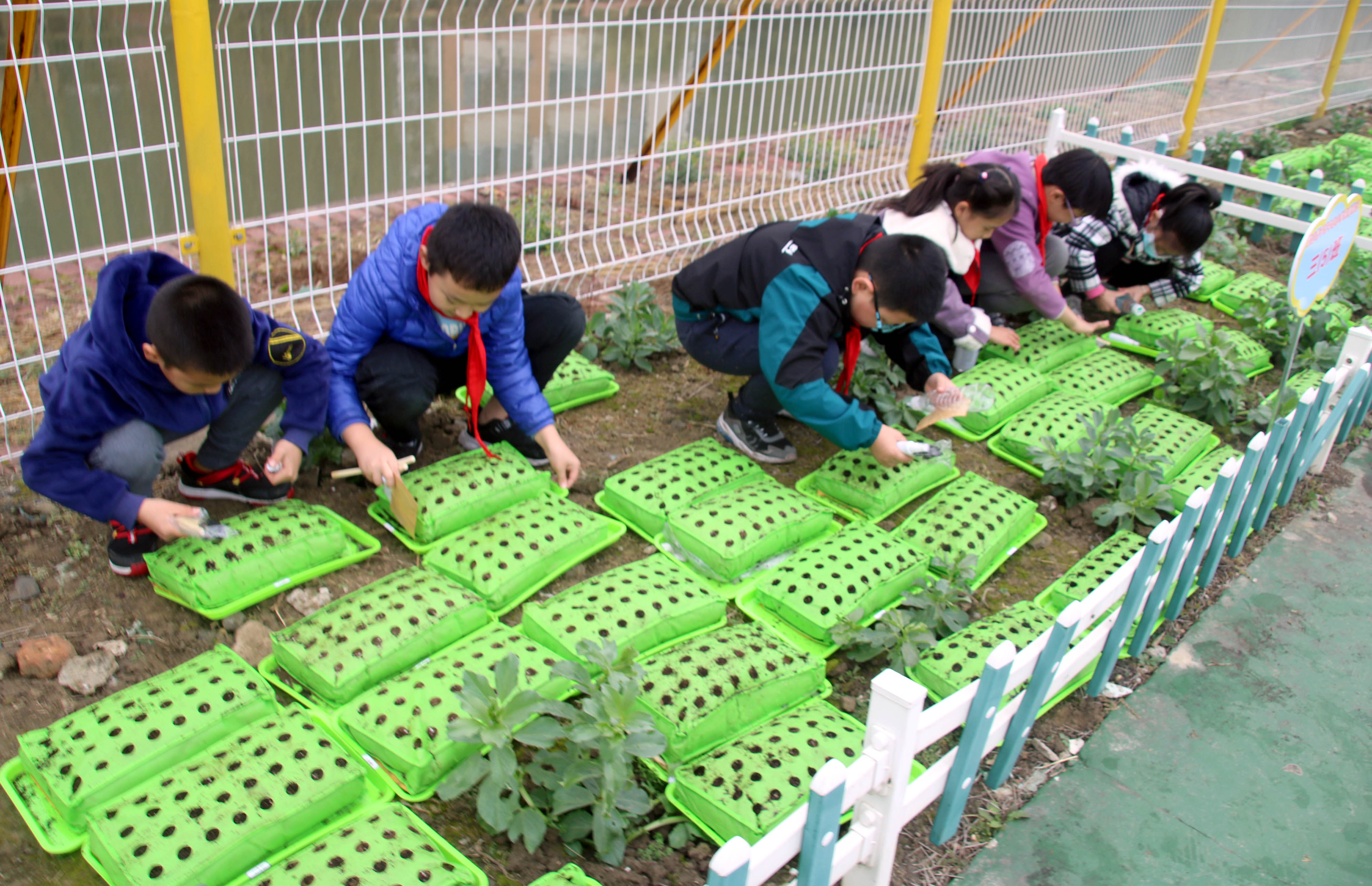 休闲生存种菜手机游戏大全_生存种植游戏_休闲种菜生存游戏手机