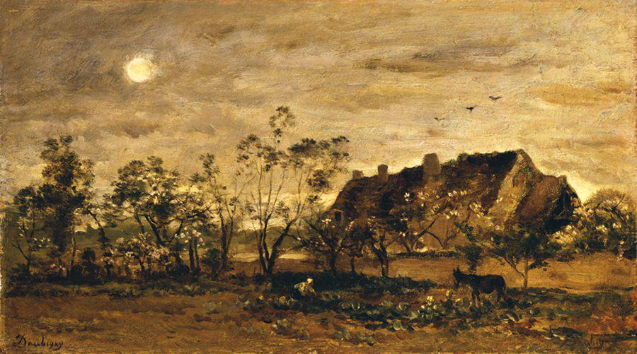 阿笨猫-小镇神秘猫咪阿笨:月光下的勇敢冒险家(图3) 嘻嘻哈哈菜的故事阿笨猫_阿笨猫_笨猫图片