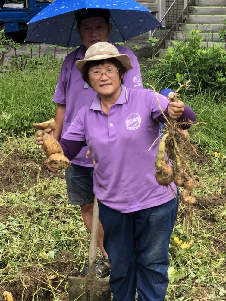 真实生活的游戏_真实生活安卓_下载真实生活小游戏手机版