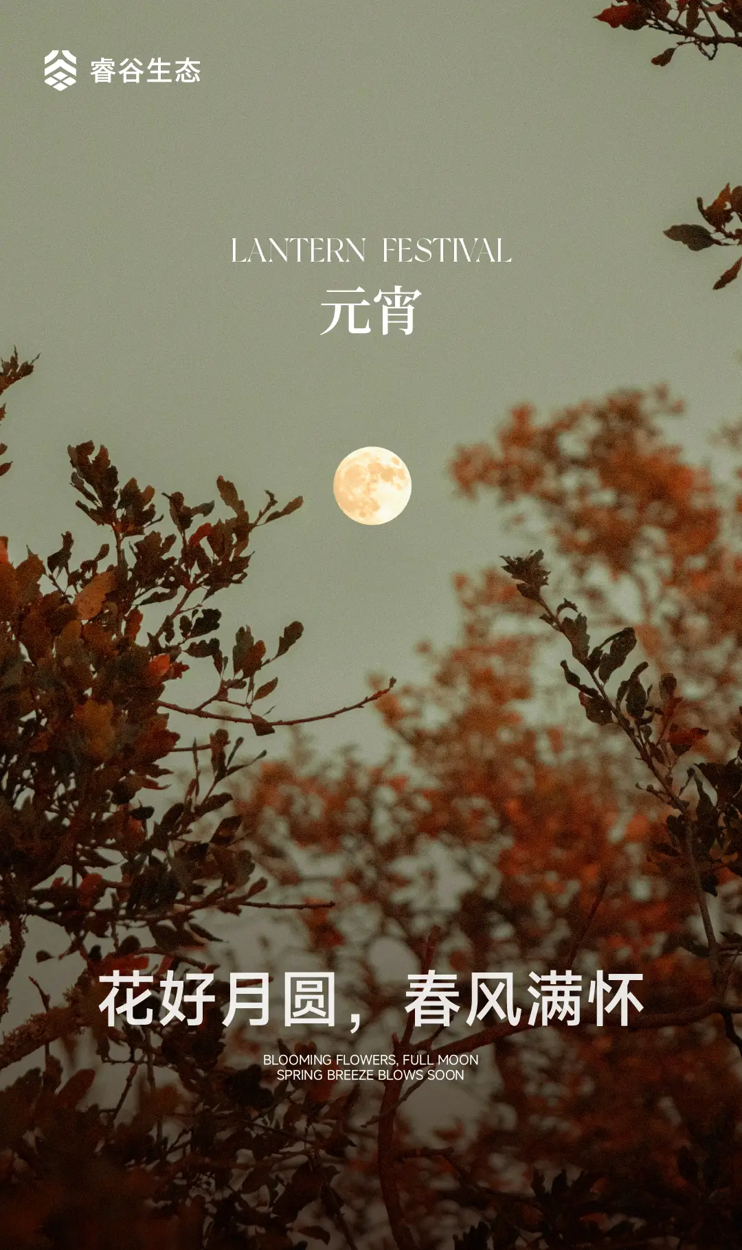 月光光心慌慌10_月光心慌慌结局是什么意思_月光兴心慌慌