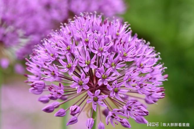 玩手机游戏不写作业的危害-手机游戏VS写作业:你选虚拟快乐还是学业成绩?(图2) 写作业有害健康_写作业有害吗_玩手机游戏不写作业的危害