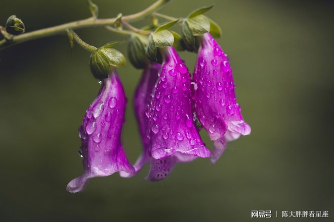 玩手机游戏不写作业的危害-手机游戏VS写作业:你选虚拟快乐还是学业成绩?(图4) 玩手机游戏不写作业的危害_写作业有害吗_写作业有害健康