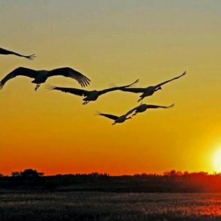 探索深邃的文学世界:原田作品中的人生与情感(图2) 原田_原田实_原田正平