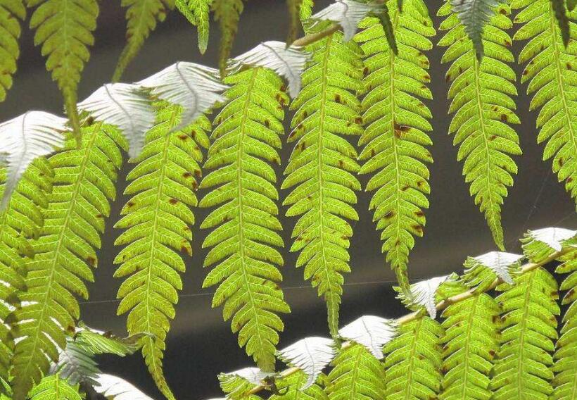 小黑游戏邪恶游戏手机版-揭露小黑游戏手机版的危害:暴力、色情,安全隐患丛生(图3) 小黑游戏手机版在线玩_小黑游戏大全_小黑游戏邪恶游戏手机版