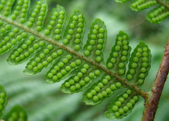 小黑游戏邪恶游戏手机版-揭露小黑游戏手机版的危害:暴力、色情,安全隐患丛生(图4) 小黑游戏手机版在线玩_小黑游戏邪恶游戏手机版_小黑游戏大全