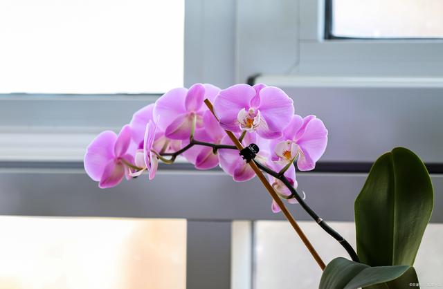 淘米游戏怎么注销账号手机_注销账号淘米手机游戏还能玩吗_注销账号淘米手机游戏还能用吗