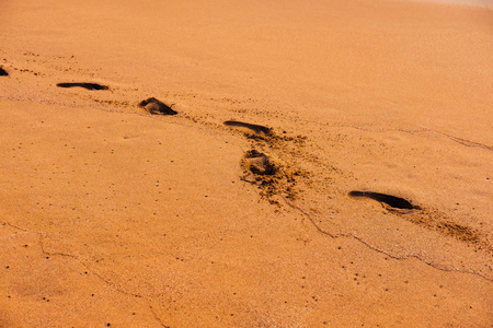 揭秘北欧神话中的月亮女神斯卡哈:黑暗之女的神秘力量与勇士的守护(图2) 斯卡堡_阿夸弗雷斯卡_斯卡哈