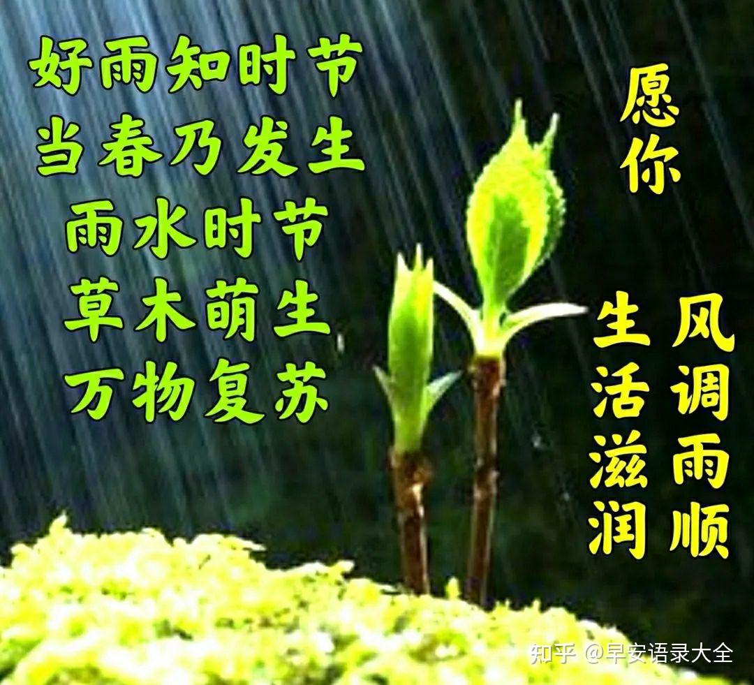 绫波芹_绫波鱼_绫波