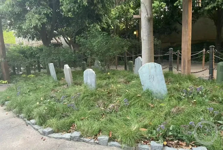 保修时间查询苹果_保修查询苹果_苹果手机保修期查询官网