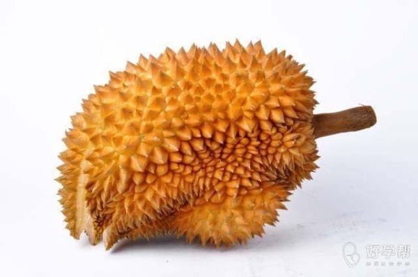 野蛮丫环游戏下载手机版_野蛮丫鬟会武功_野蛮丫鬟电视剧