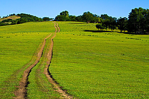 乌兹别克斯坦的时间_乌兹别克斯坦时间与北京时间_乌兹别克斯坦与中国时差