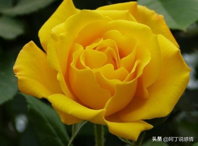 骸骨骑士大人冒险中_骸骨骑士大人异世界冒险中小说_骸骨骑士大人的异界冒险之旅