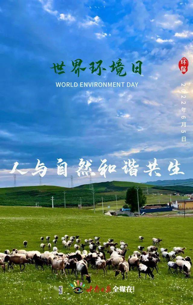 每年环境日是几月几日_每年环境日_每年环境日的日期