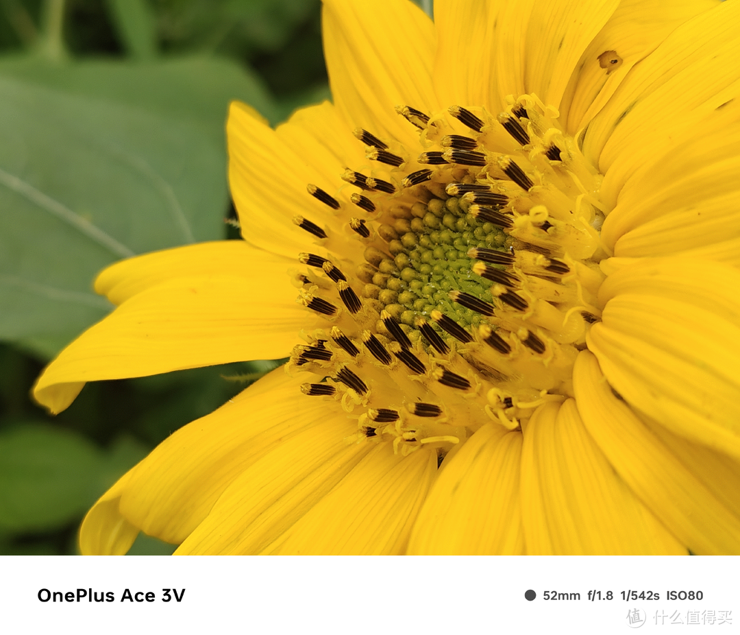 新手机游戏2021_新手机游戏2020_一加新品手机游戏手机