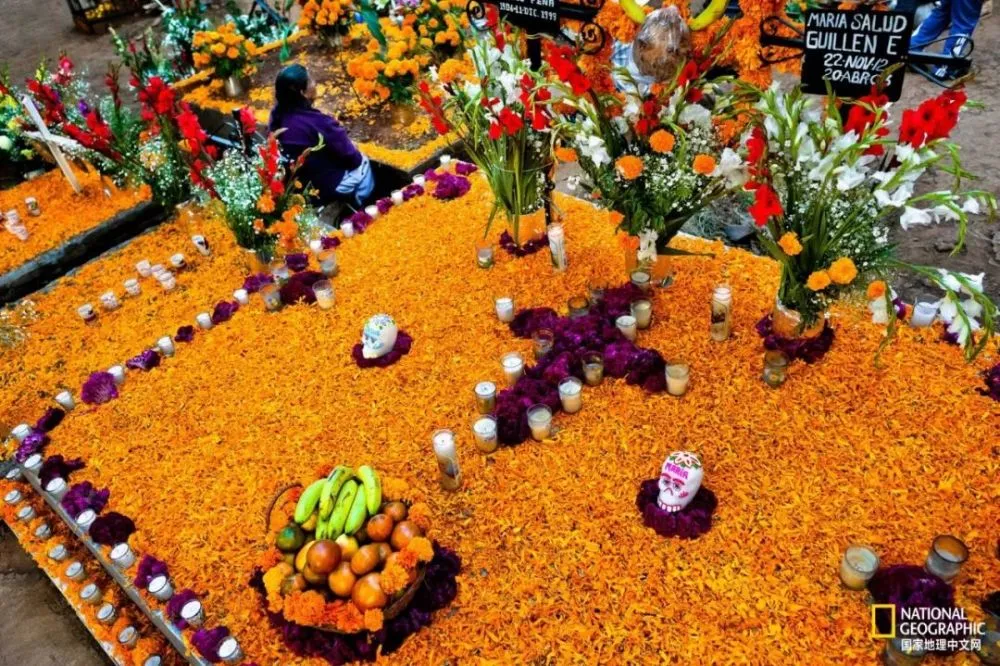 探秘阴间游戏手机版:神秘世界的灵魂穿梭与挑战解密(图1) 阴间恐怖游戏_阴间游戏名_阴间游戏手机版