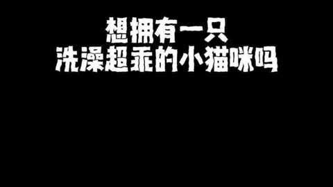安卓小猫游戏_小猫手机游戏app_小猫 手机游戏