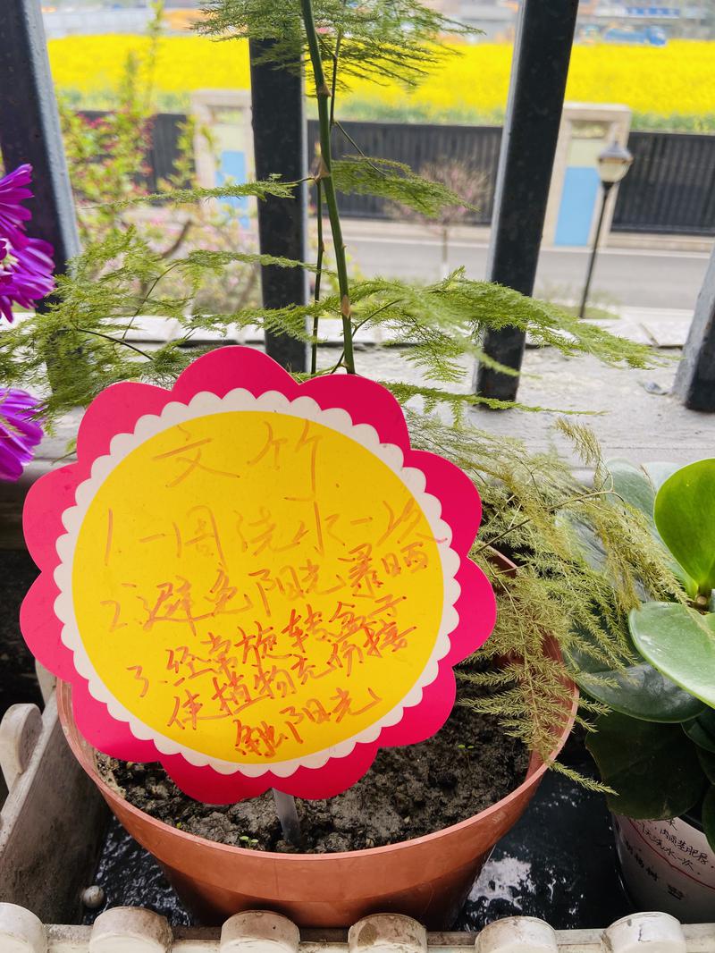 名道奕博公共关系培训机构_我们仍未知道花名_未闻花名已知花意未闻花名全句