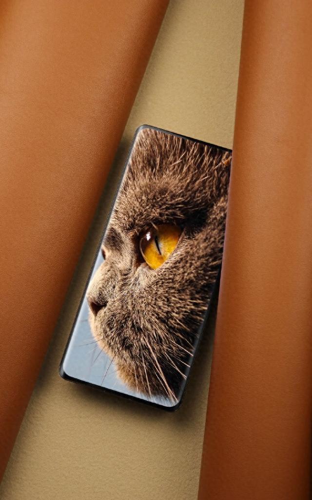 屏幕花了什么原因_新手机打游戏屏幕花了_屏幕花了该怎么办