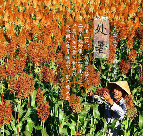 处暑的含义是什么意思-处暑时节,感受自然的温情与家人的幸福(图4) 处暑一词的意思_处暑的含义是什么意思_处暑这个词的意思是什么