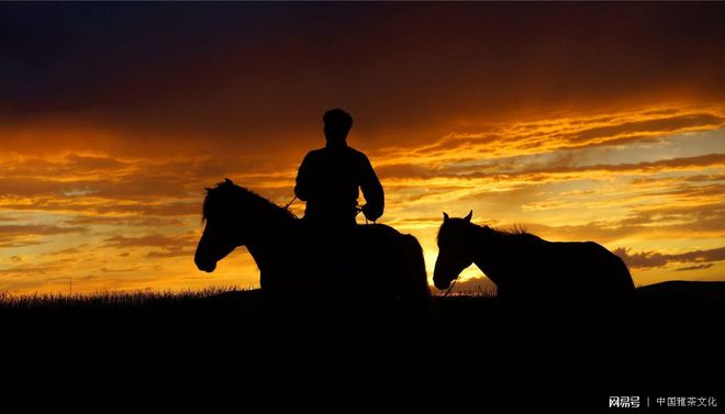 夜晚街头的东方蜚蠊:城市守护者与生态卫士(图2) 东方蜚蠊_东方蜚蠊会咬人吗_东方蜚蠊图片