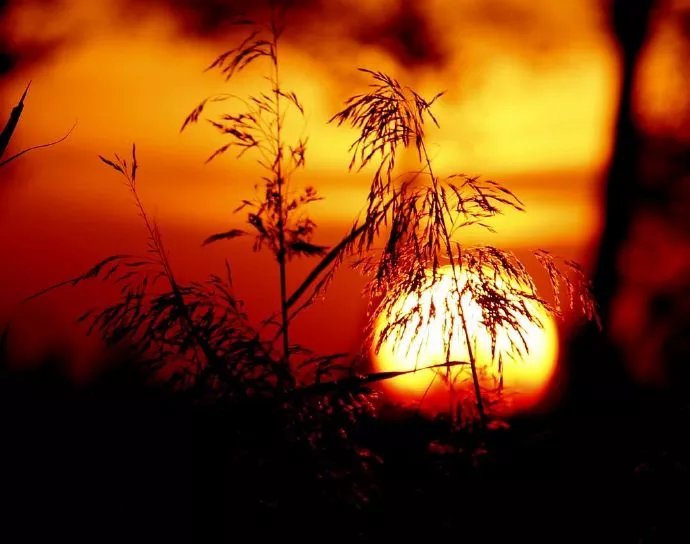 短信收解决手机号到哪里去了_手机号收短信特别慢什么原因_手机号收不到短信怎么解决