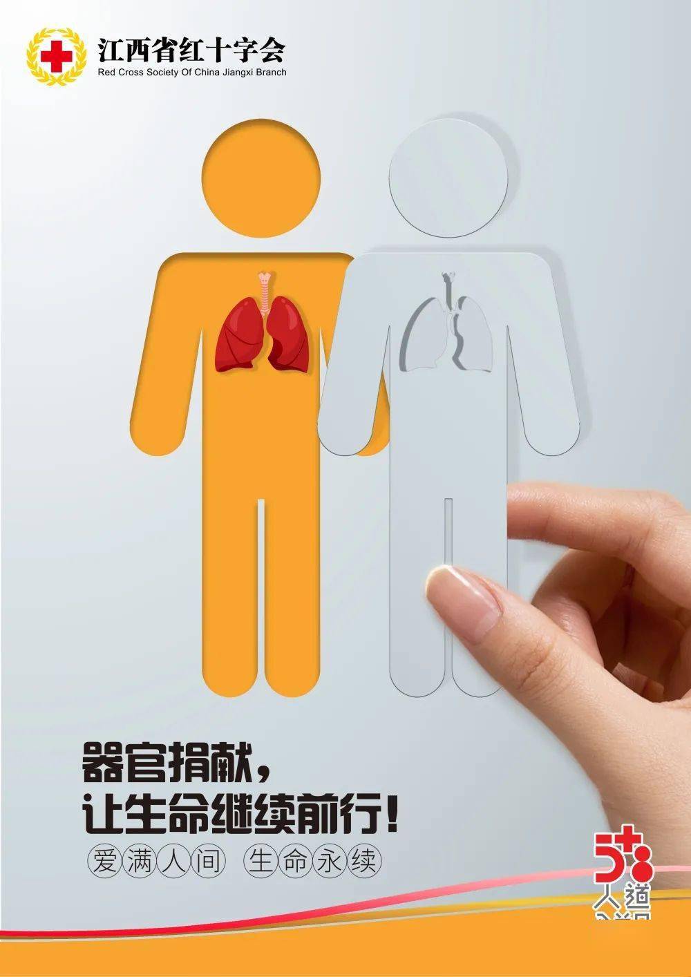 红十字运动的基本原则是-红十字运动:博爱与志愿,温暖人心的无私奉献(图1) 红十字运动的基本原则是_红十字运动的原则是_红十字运动的组织原则是什么