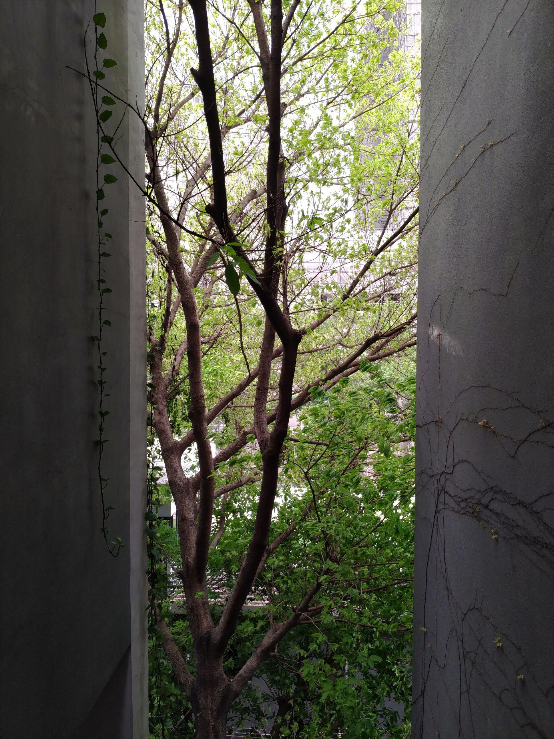 小米手机横屏打游戏-小米手机横屏玩游戏,视野更宽广沉浸感倍增(图4) 小米手机玩游戏横屏变竖屏_小米手机游戏不能横屏_小米手机横屏打游戏