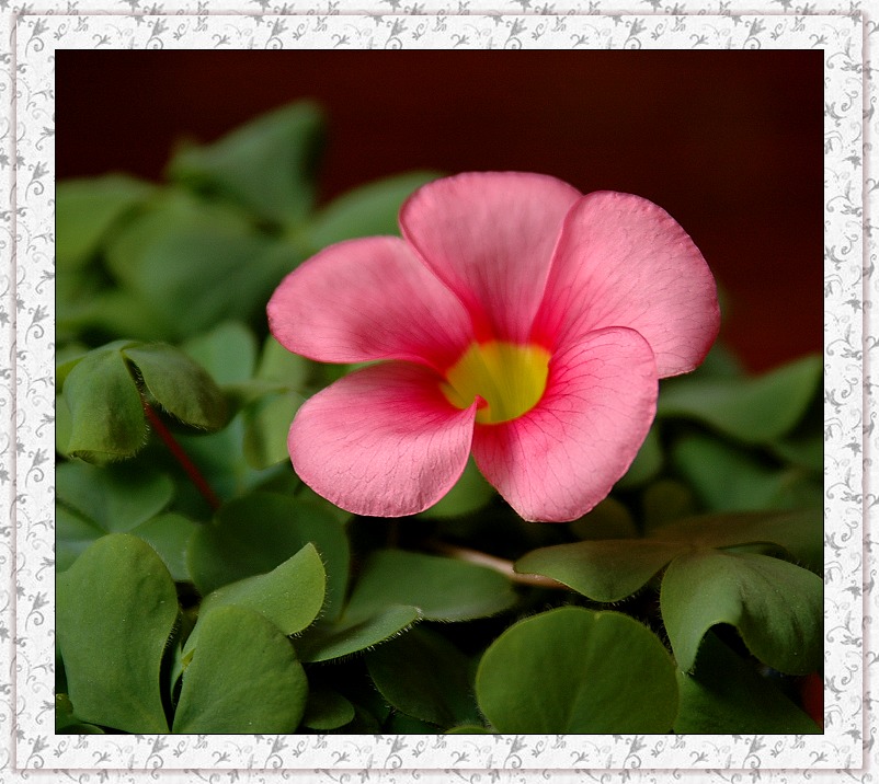 重装上阵游戏手机-游戏手机卡顿?别担心,看我如何让它重装上阵,再战江湖(图1) 重装上阵app_重装上阵手游视频_重装上阵游戏手机