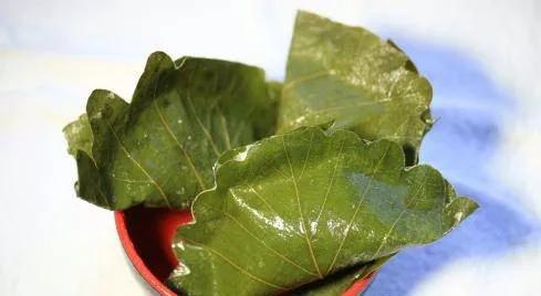 千年食谱颂_千年食谱颂_千年食谱颂