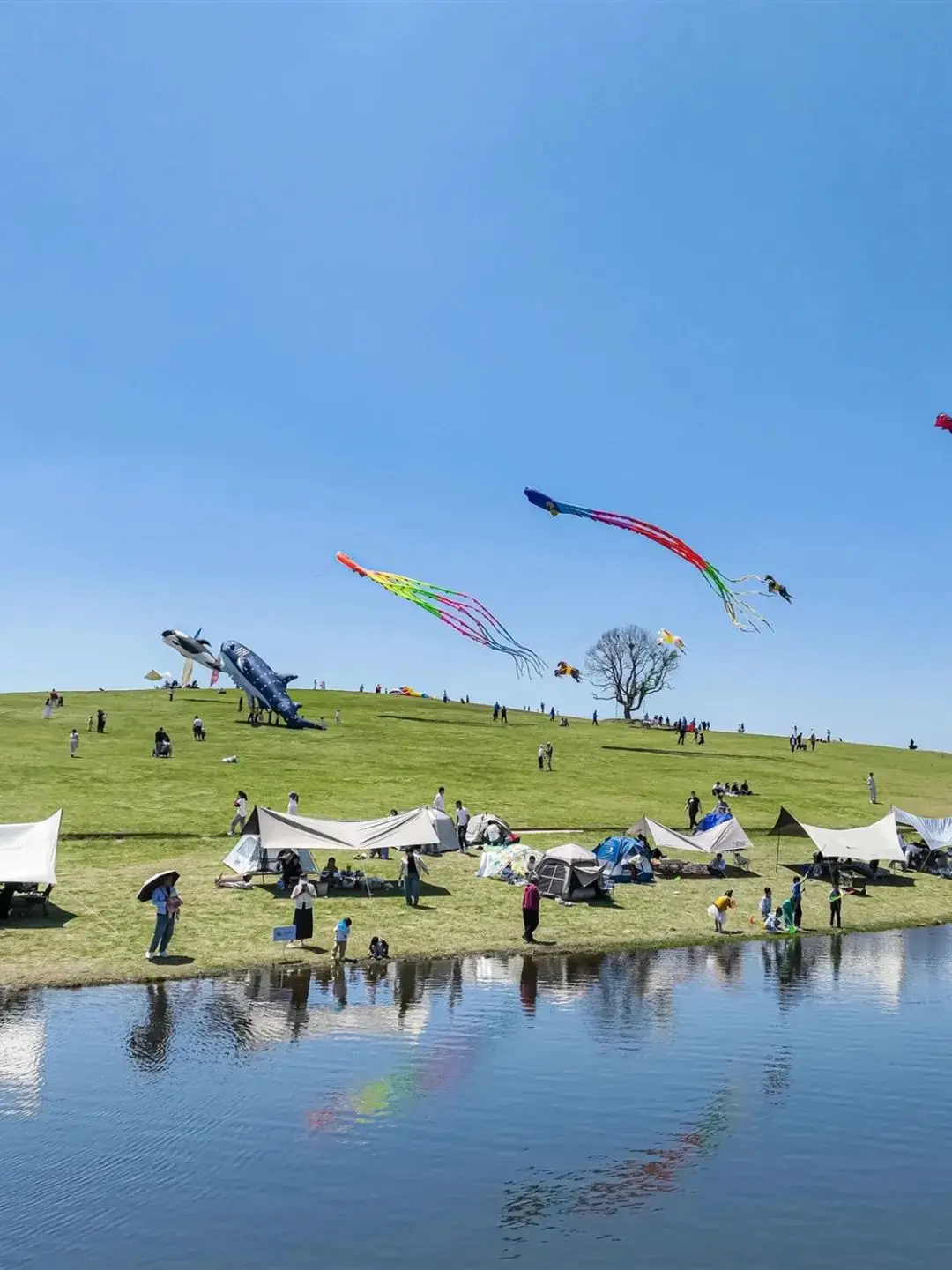 那些让心灵震动的瞬间:公园里的宁静与喜悦,街头的孤独与温暖(图2) 瞬火_瞬_瞬的歌词