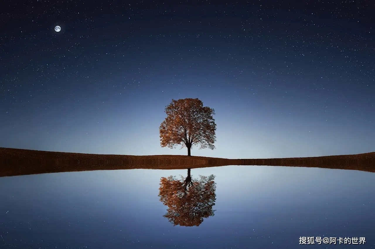 那些让心灵震动的瞬间:公园里的宁静与喜悦,街头的孤独与温暖(图4) 瞬_瞬火_瞬的歌词