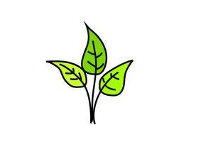 小草怎么画-学习画小草:技巧与自然对话,捕捉生命力的艺术之旅(图3) 小草怎么画_小草画简单又漂亮_小草画画图片