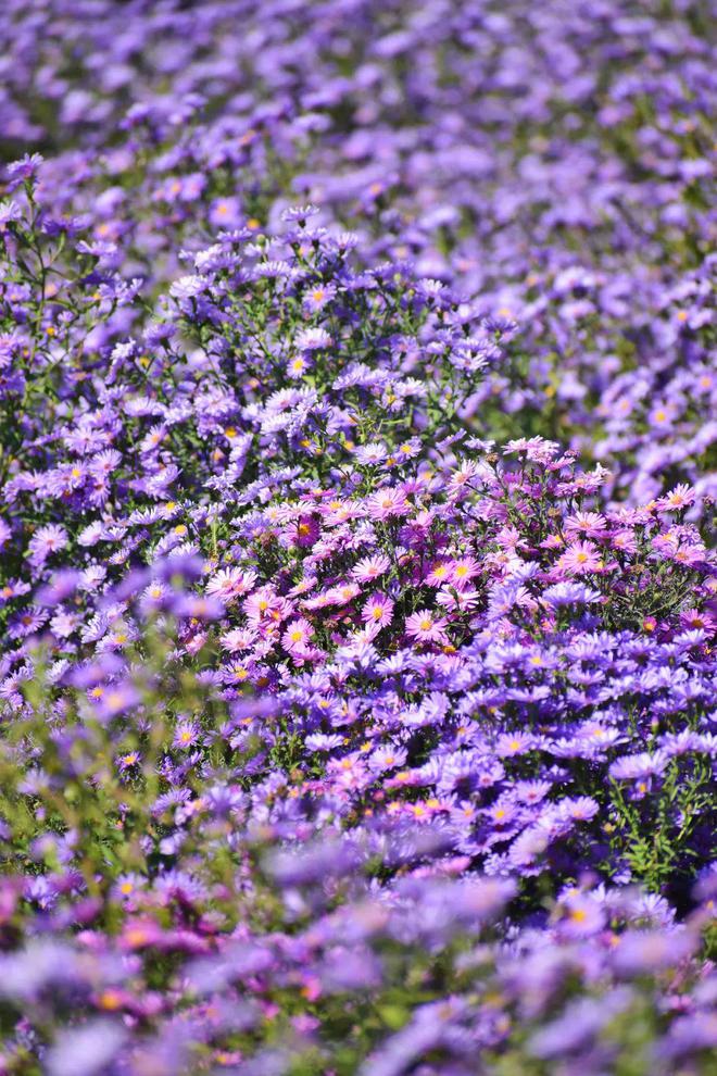 香艳手机单机游戏_香艳手机单机游戏_香艳手机单机游戏