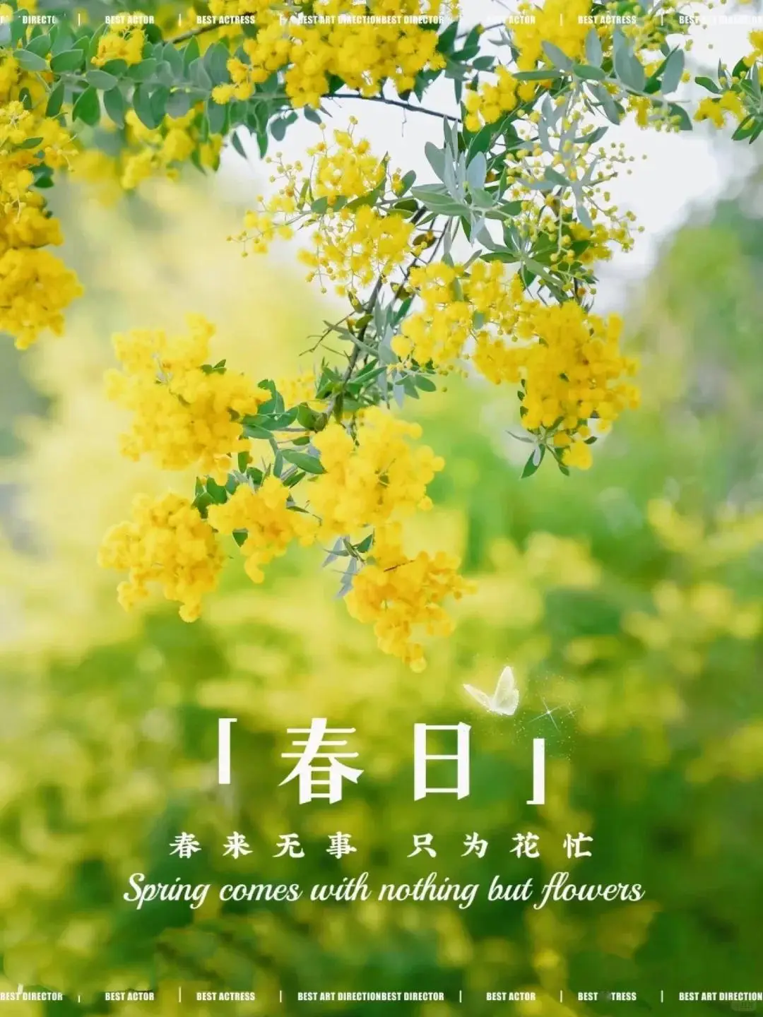 无别_无线耳机怎么连接手机_无敌六皇子