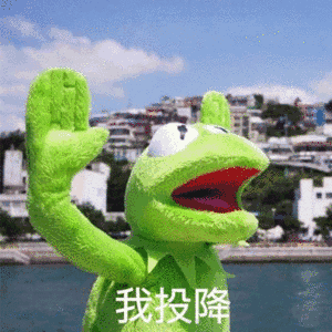 动态二维数组和普通二维数组_二维数组的动态规划_动态二维数组