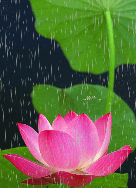 天诛变手机游戏_我想玩天诛游戏_天诛小游戏