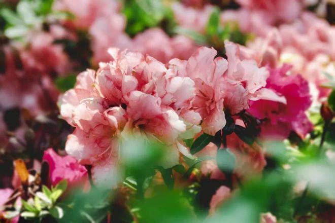 无锡手游吧_无锡手机同城游戏_无锡同城手机游戏店