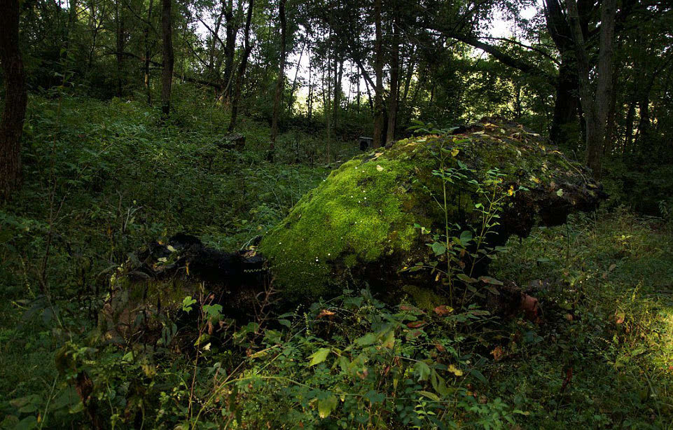 在幽暗森林中,我遇到了一位哥布林工匠,他的手艺令人惊叹(图2) 哥布林工匠被杀死了_工匠哥布林流_哥布林工匠