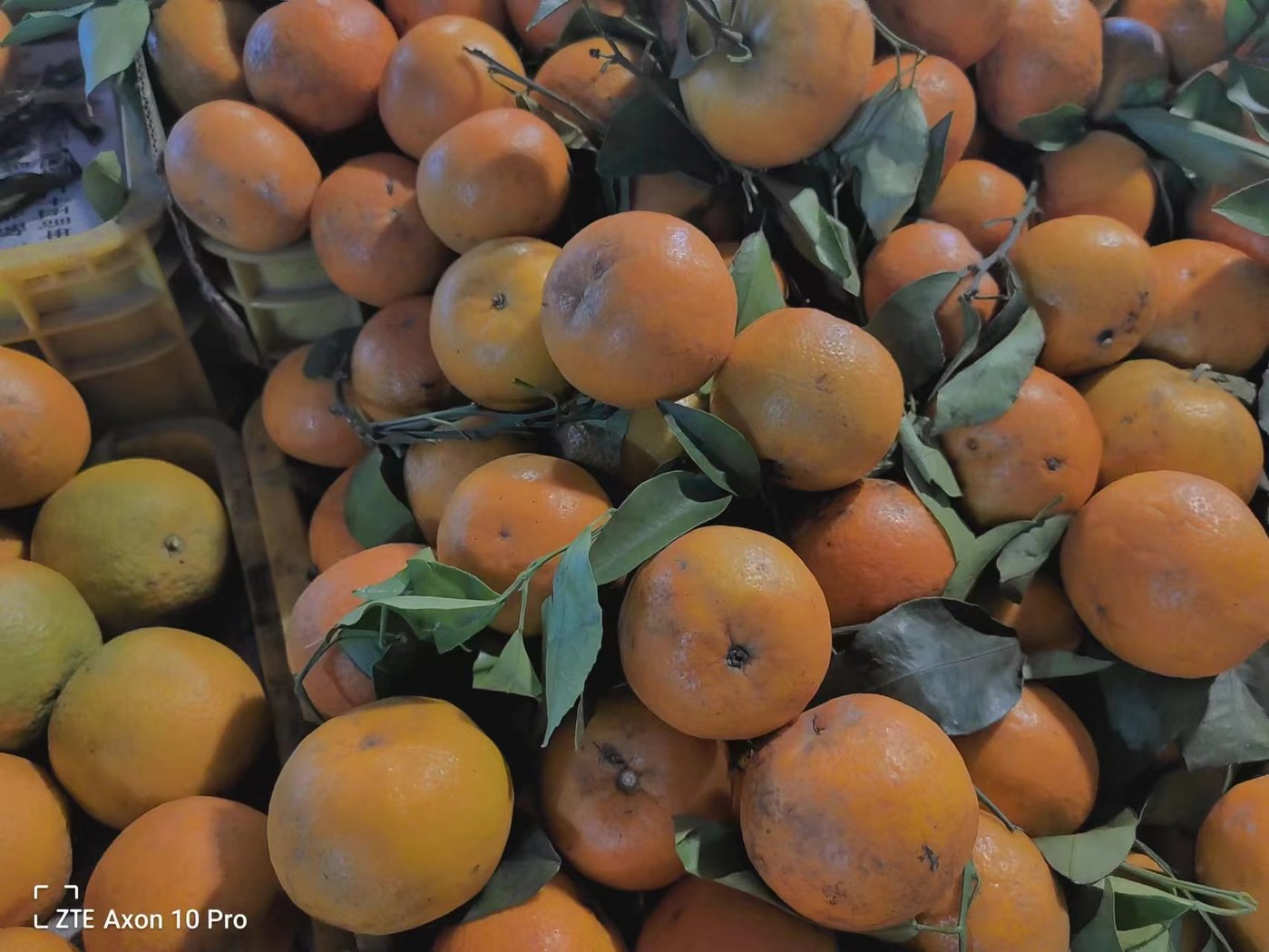 巡洋舰鼠标游戏手机_鼠标巡洋舰手机游戏怎么玩_鼠标游戏大全